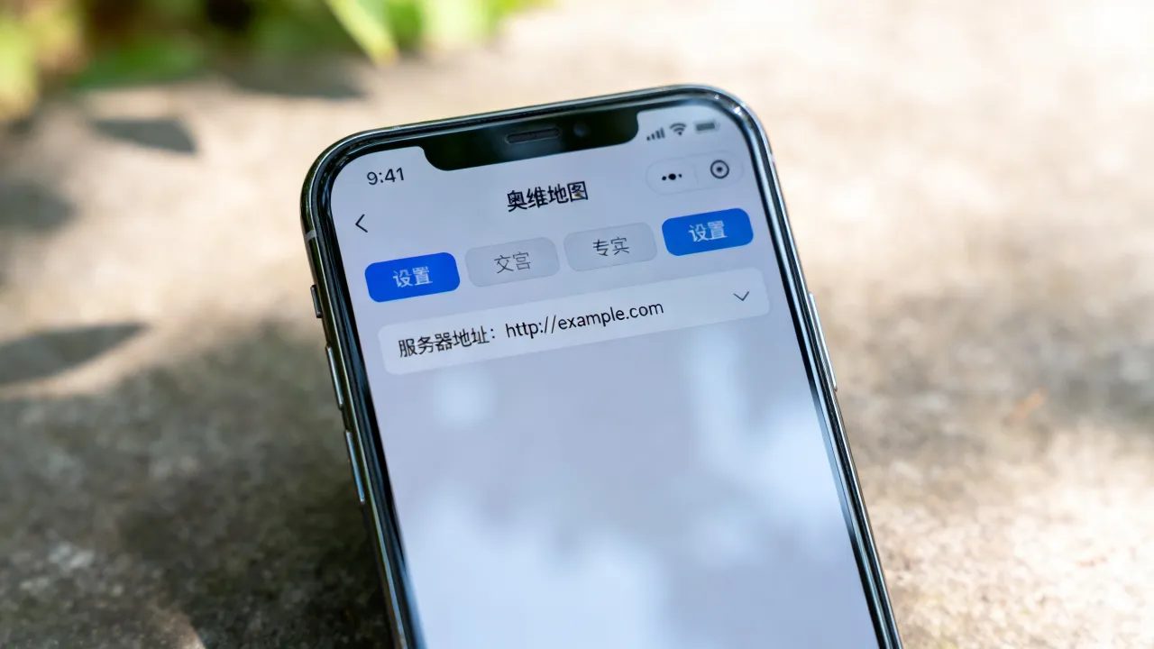 奥维地图的服务器地址是什么，奥维地图服务器地址怎么填